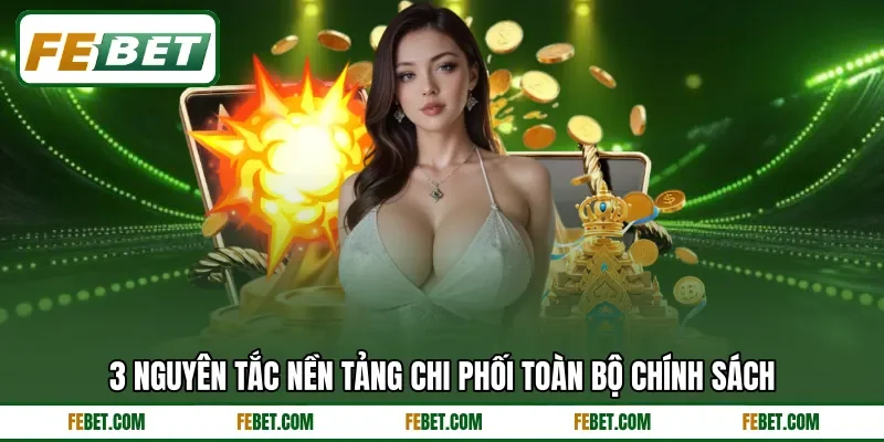 3 nguyên tắc nền tảng chi phối toàn bộ chính sách