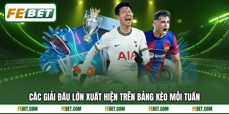 Các giải đấu lớn xuất hiện trên bảng kèo mỗi tuần