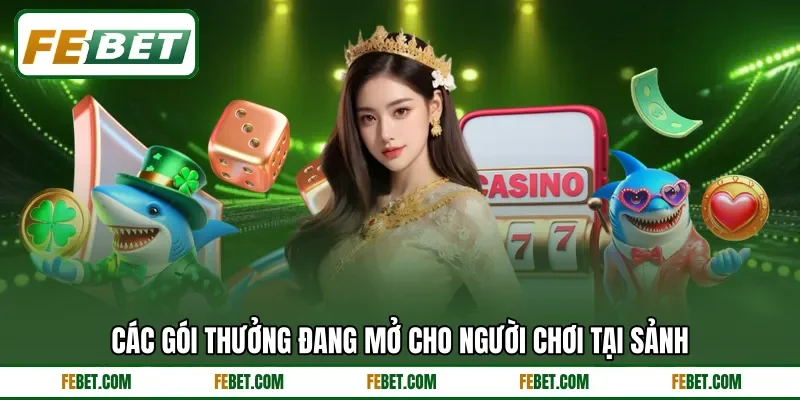 Các gói thưởng đang mở cho người chơi tại sảnh Các gói thưởng đang mở cho người chơi tại sảnh
