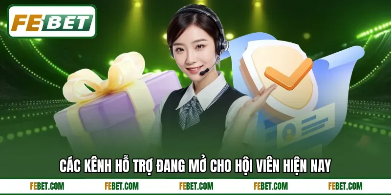 Các kênh hỗ trợ đang mở cho hội viên hiện nay