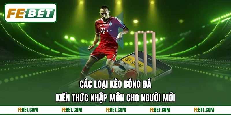 Các Loại Kèo Bóng Đá - Kiến Thức Nhập Môn Cho Người Mới