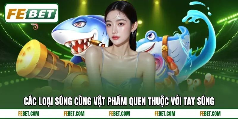 Các loại súng cùng vật phẩm quen thuộc với tay súng