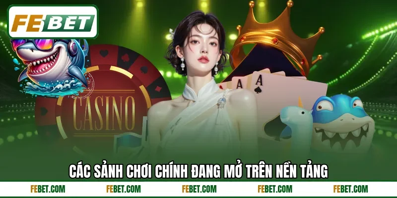 Các sảnh chơi chính đang mở trên nền tảng Các sảnh chơi chính đang mở trên nền tảng