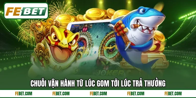 Chuỗi vận hành từ lúc gom tới lúc trả thưởng